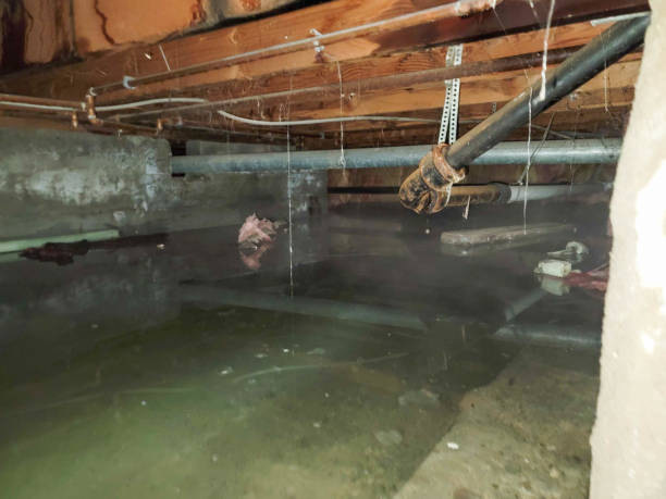 24/7 water damage repair in TX