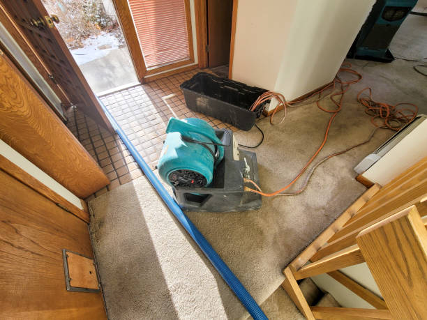 Best Flood damage cleanup  in Edgecliff Village, TX