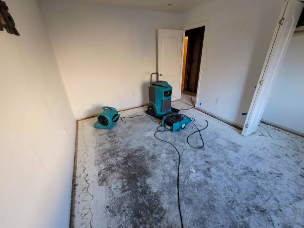 Best 24/7 water damage repair  in Edgecliff Village, TX