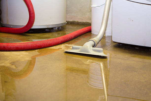 Best Water damage restoration near me  in Edgecliff Village, TX